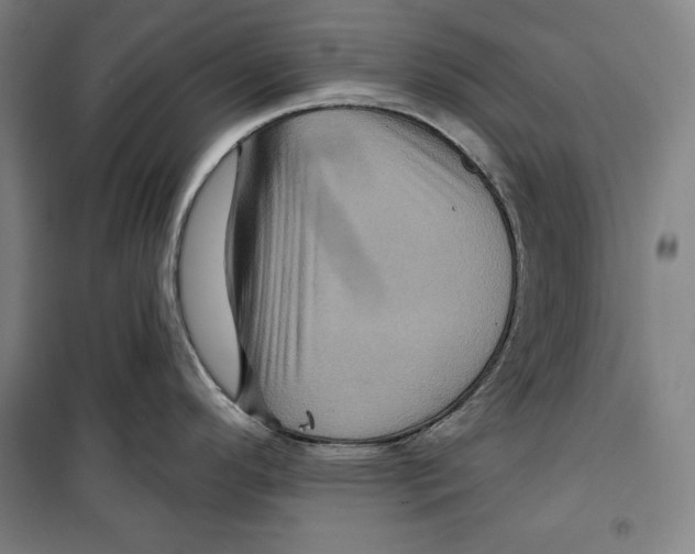 X0000099451296200806061057