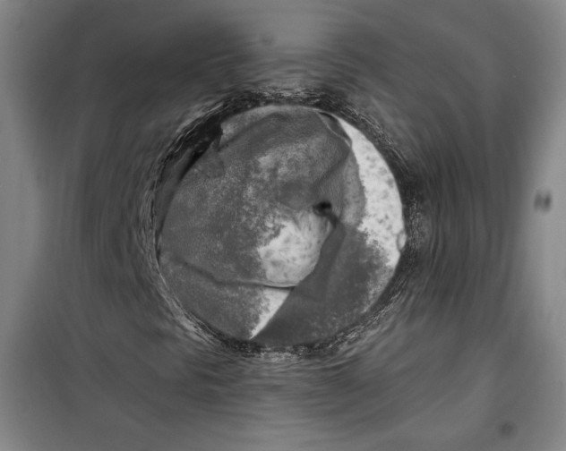 X0000099451297200806061056