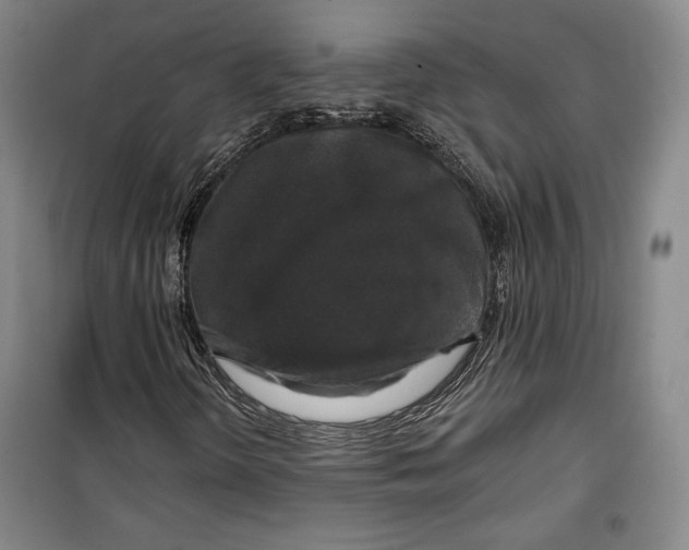 X0000099451298200806061056