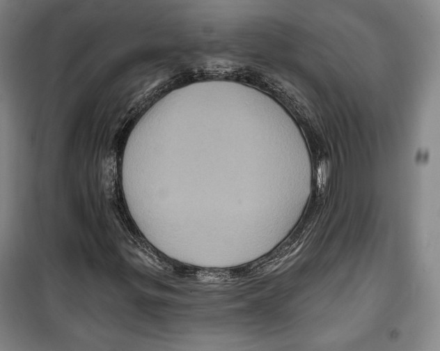 X0000099451299200806061056