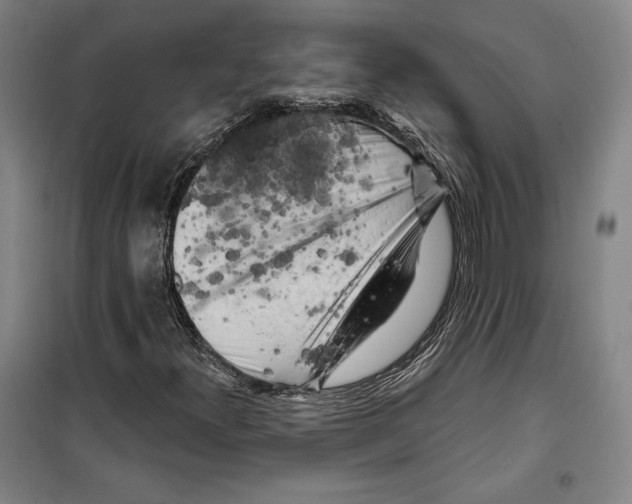 X0000099451300200806061056