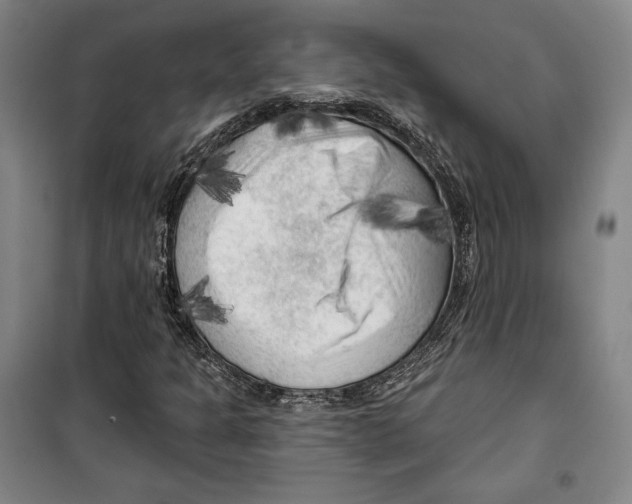 X0000099451301200806061056