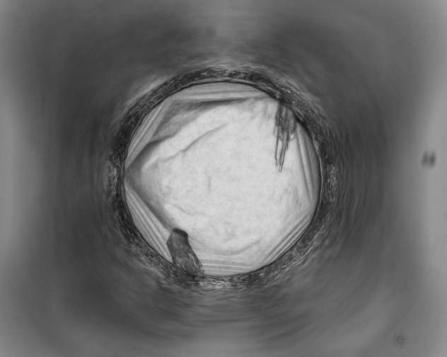 X0000099451302200806061056