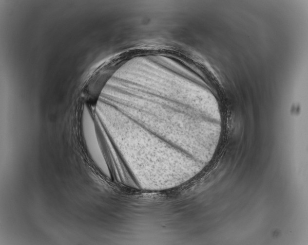 X0000099451304200806061056