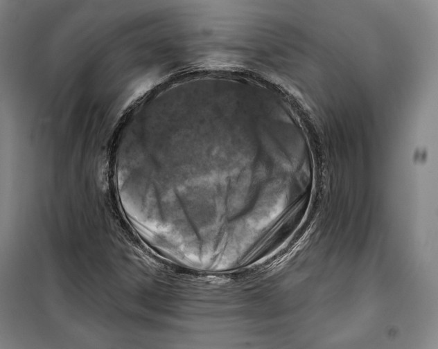 X0000099451306200806061056