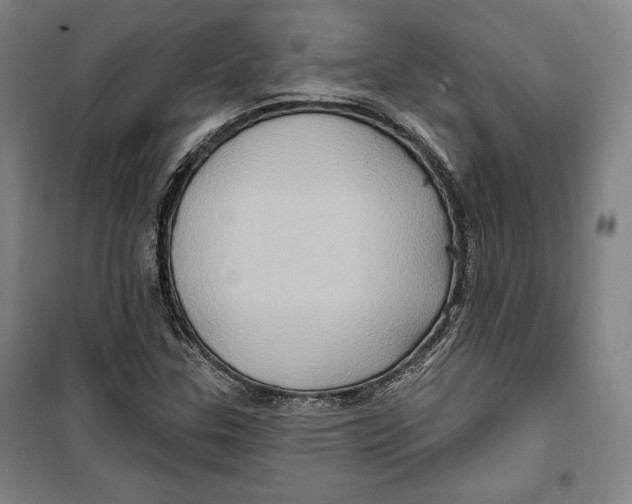 X0000099451307200806061056