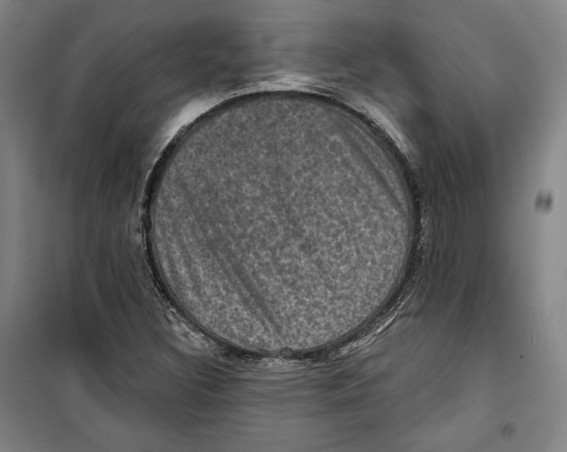 X0000099451308200806061056