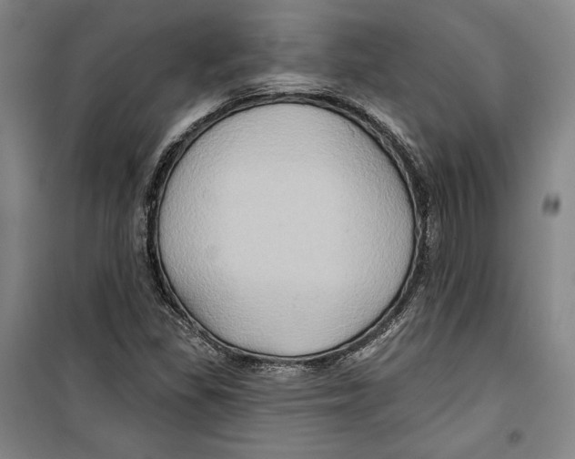 X0000099451309200806061056