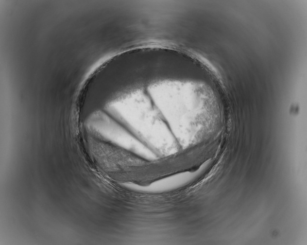 X0000099451310200806061056