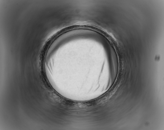 X0000099451311200806061056