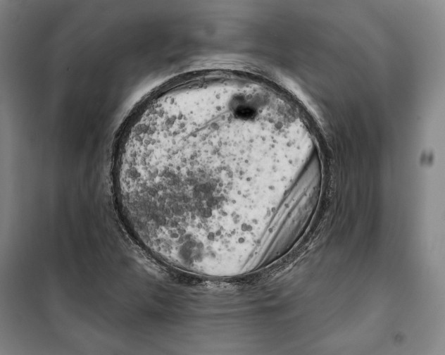 X0000099451312200806061056