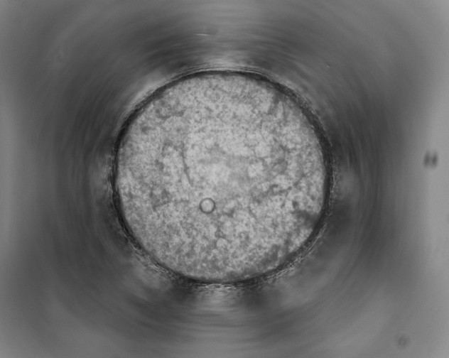 X0000099451314200806061056