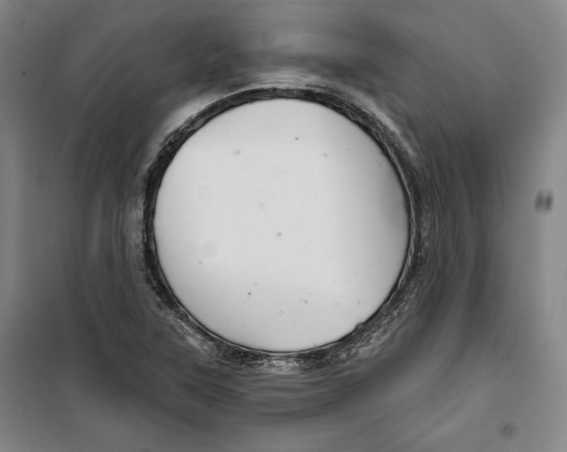 X0000099451315200806061056