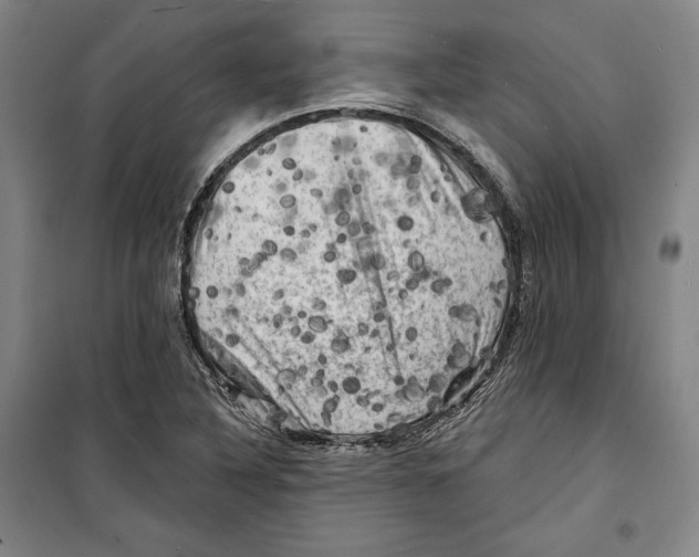 X0000099451316200806061056