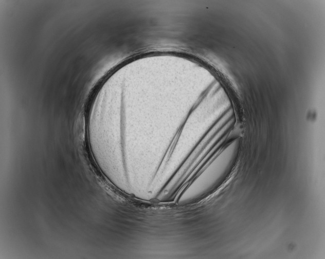 X0000099451317200806061057