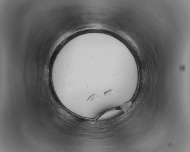 X0000099451318200806061057