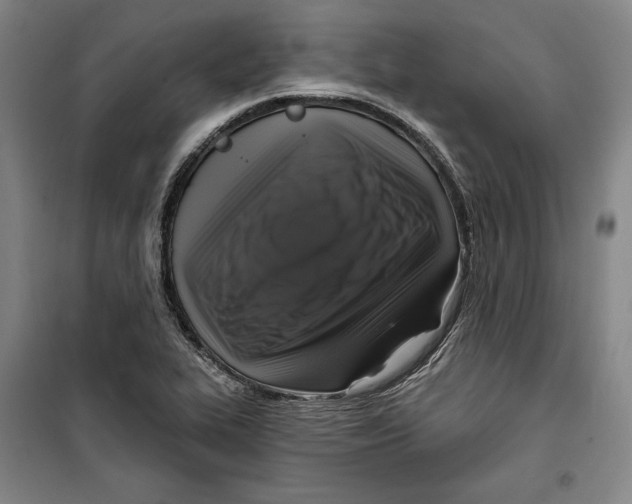 X0000099451319200806061057