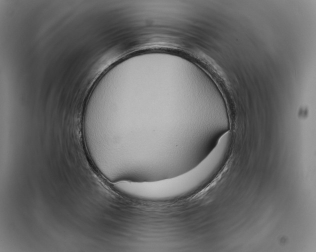 X0000099451321200806061057