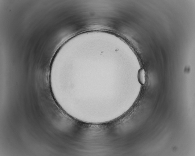 X0000099451322200806061057