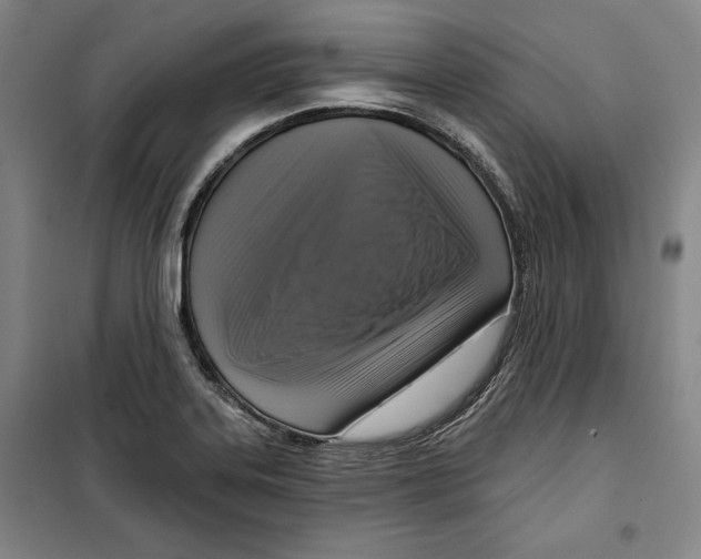 X0000099451323200806061057