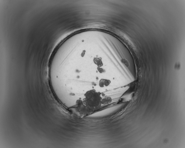 X0000099451324200806061057