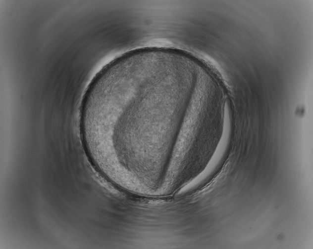 X0000099451326200806061057