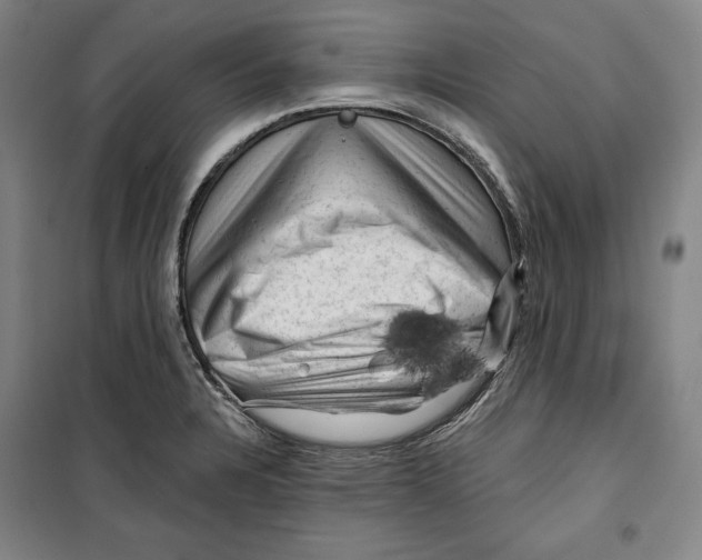 X0000099451328200806061057