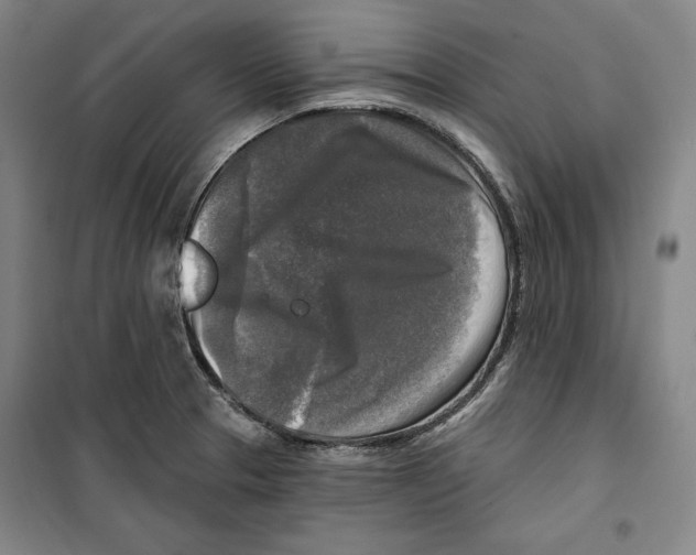 X0000099451329200806061057