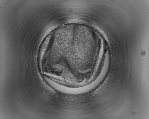 X0000099451330200806061057