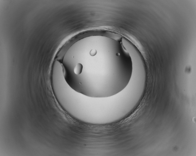 X0000099451332200806061057