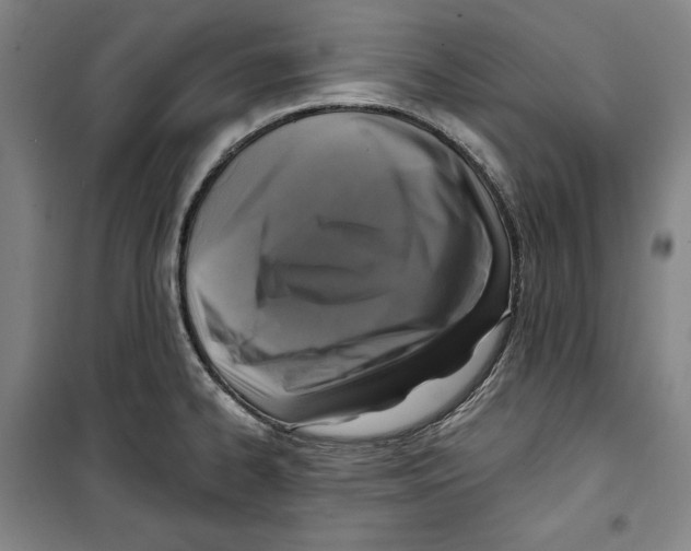 X0000099451334200806061057