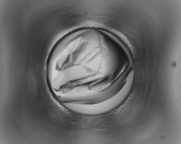 X0000099451335200806061057