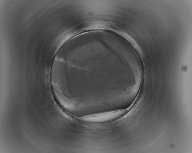 X0000099451337200806061057