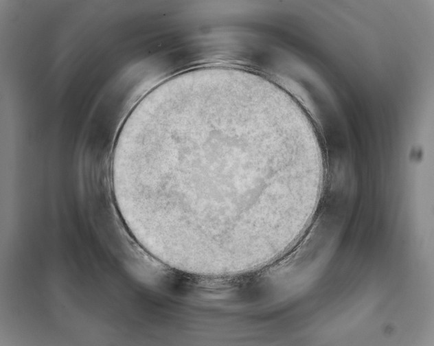 X0000099451338200806061057