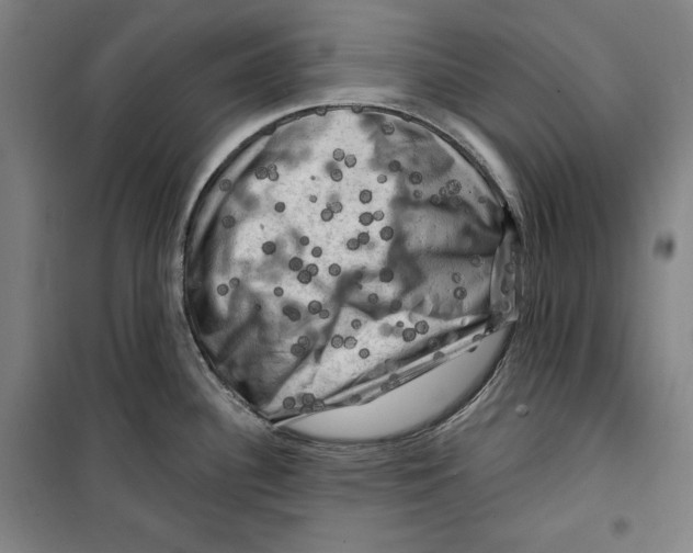 X0000099451340200806061057