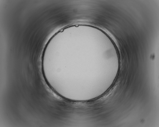 X0000099451341200806061057