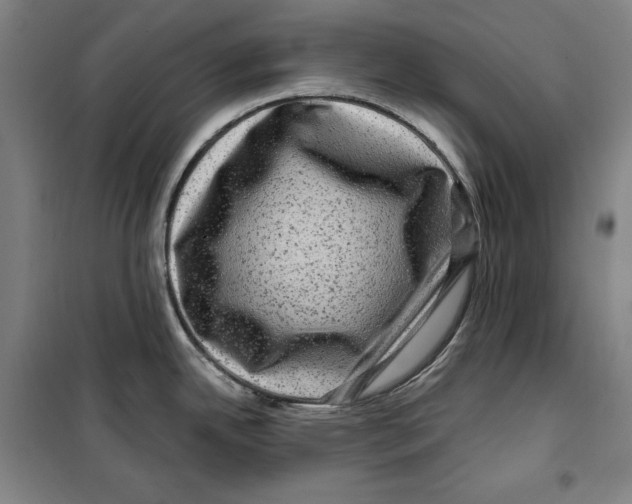 X0000099451342200806061057