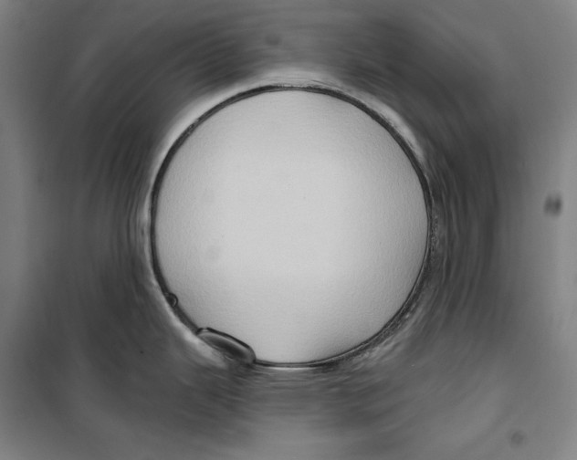 X0000099451343200806061057