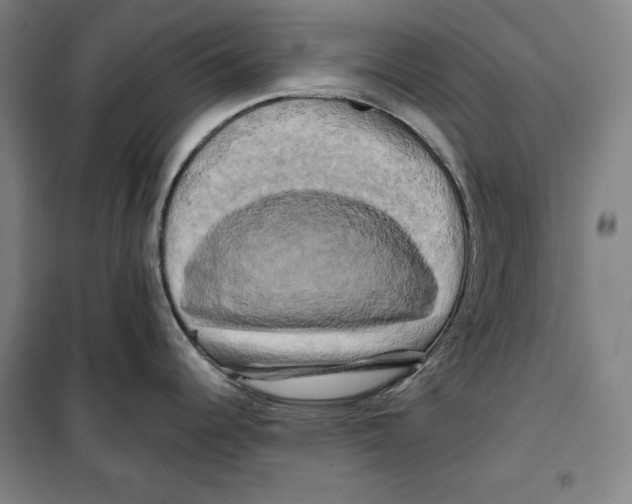 X0000099451344200806061057