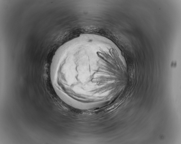 X0000099451346200806061056