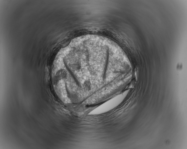 X0000099451347200806061056