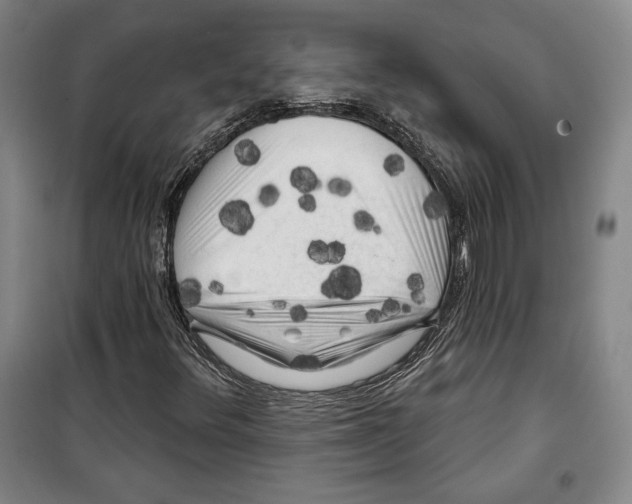 X0000099451348200806061056