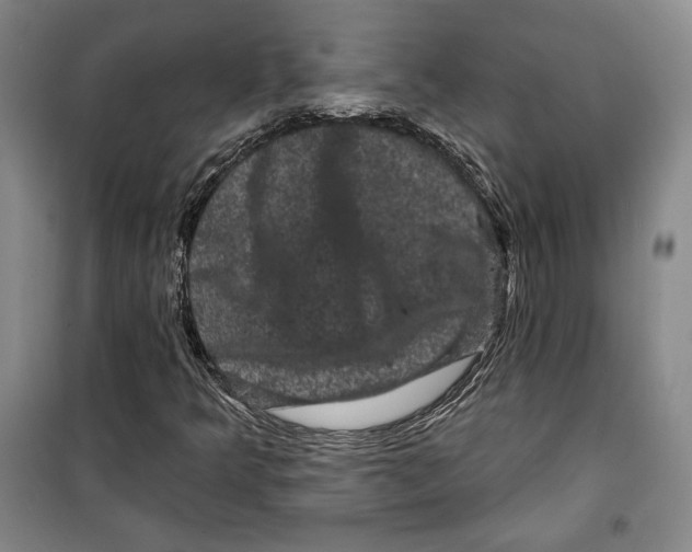 X0000099451349200806061056