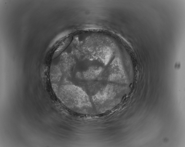 X0000099451351200806061056