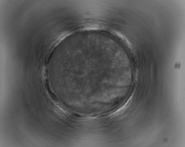 X0000099451353200806061056