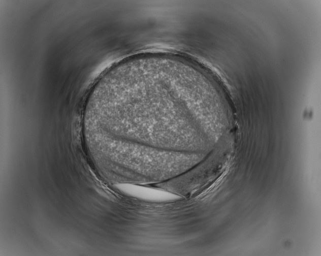 X0000099451355200806061056