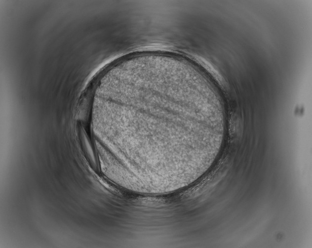 X0000099451356200806061056