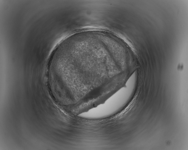 X0000099451357200806061056