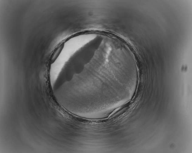 X0000099451359200806061056