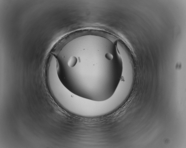 X0000099451360200806061056